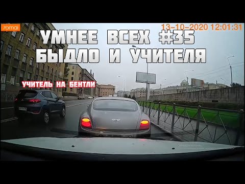 УМНЕЕ ВСЕХ #35. БЫДЛО И УЧИТЕЛЯ НА ДОРОГЕ