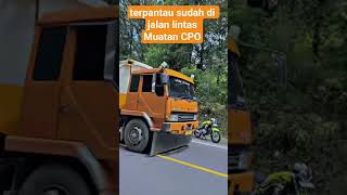 pengiriman#tronton#muatan#vlog#