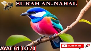 ||quran|Surah Nahl|Surat Nahl|An-Nahl|Ayat| 61-70|By Syed Saleem||