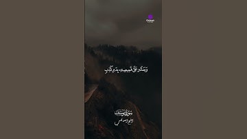 "دي مش مجرد تلاوة… ده أمل جديد"
