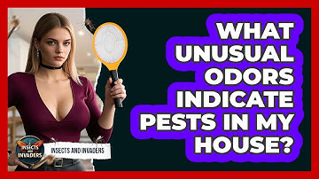 What Unusual Odors Indicate Pests In My House? - Insects and Invaders