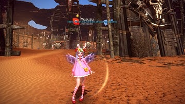 TERA RK9EM Priest pov (first run)