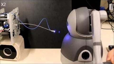 Concentric Tube Robots with Camera