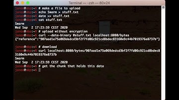 Ethereum Swarm - Encryption Feature - Demo Video