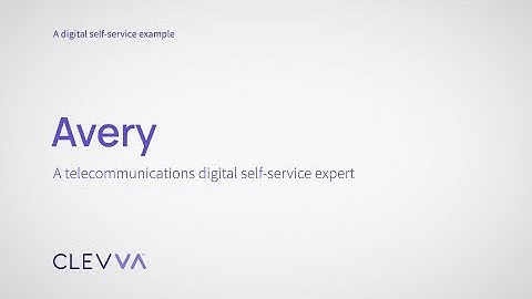 A CLEVVA-Powered Digital Expert – Telecom Example