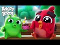 Birds Vs Pigs