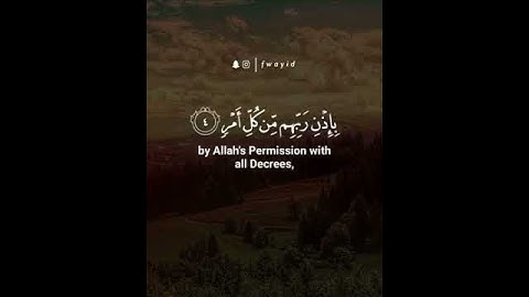 سورة القدر || ياسر الدوسري - حالات واتس اب