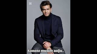 Lizam-Sonata Musim Salju