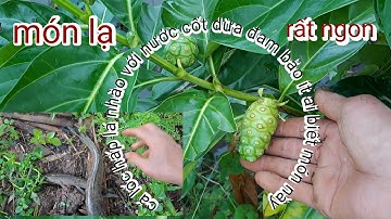 Cá lốc đồng nấu nước cốt dừa với lá nhào ít ai biết món ăn nầy