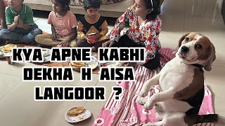 Dog bana langoor | Ram Navmi vlog