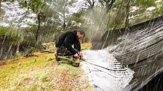 1Hour Nonstop Heavy Rain,Rainstorm and Thunder Camping • For Relaxing,Resting and Sleeping