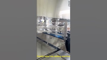 High Quality Double Head Washable Can Sealing Machine, Dia73mm Tin Can Sealer Machine,Can Seamer