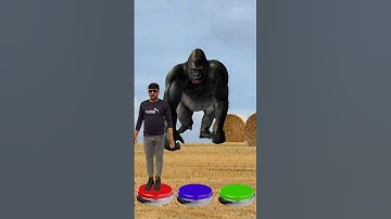 blue red & green bottom to daynasor wolf & gorilla 🦍 magic vfx video #shorts #shortvideo