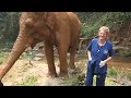 Receiving Elephant Kisses, Elephant Nature Park, Thailand, PrestiGo Asia from Mark M. 🐘