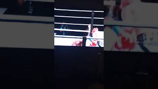 Jake Paul Fight Knockout