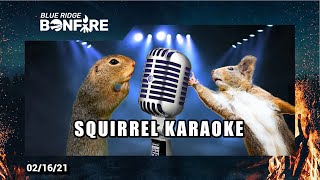 Squirrel Karaoke - Bonfire 02.16