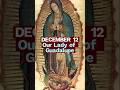 The Miracle That Converted a Continent | Our Lady of Guadalupe (Dec 12)