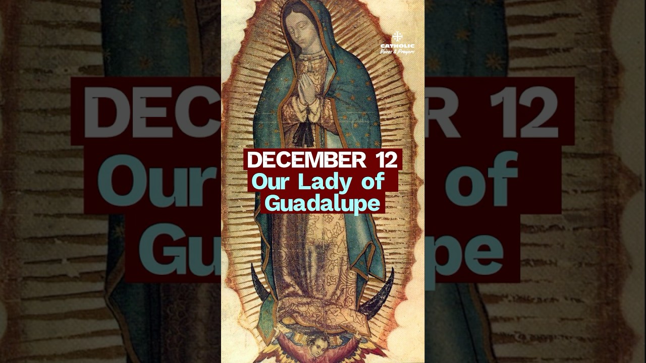 The Miracle That Converted a Continent | Our Lady of Guadalupe (Dec 12)