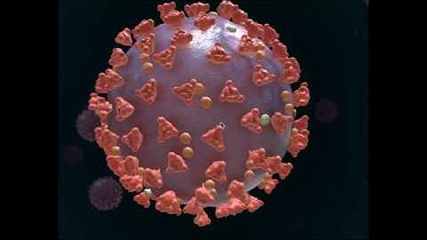 Coronavirus tutorial with animations- part 1