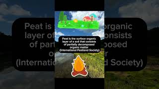 Provisioning Ecosystem Services