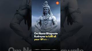 Shiva Mantras That Can Solve All Your Problems  Lord Shiva  shivji astroindusoot
