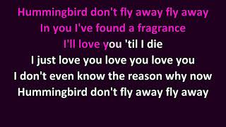 Seals & Crofts - Hummingbird