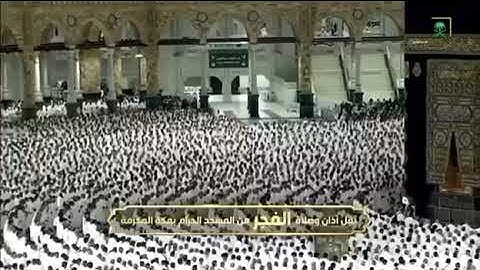 صلاة الفجر من رحاب المسجد الحرام الشيخ ماهر بن حمد المعيقلي فواتِح سورة الحجرات📆٣٠ربيع الأول١٤٤٧