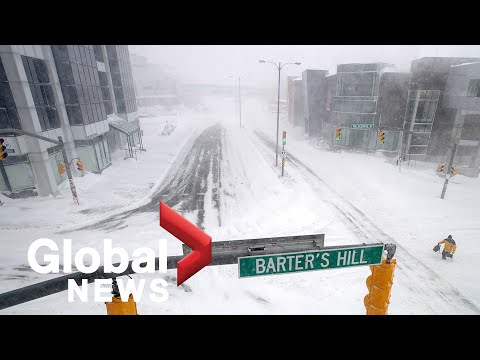 States of emergency in parts of NL due to blizzard