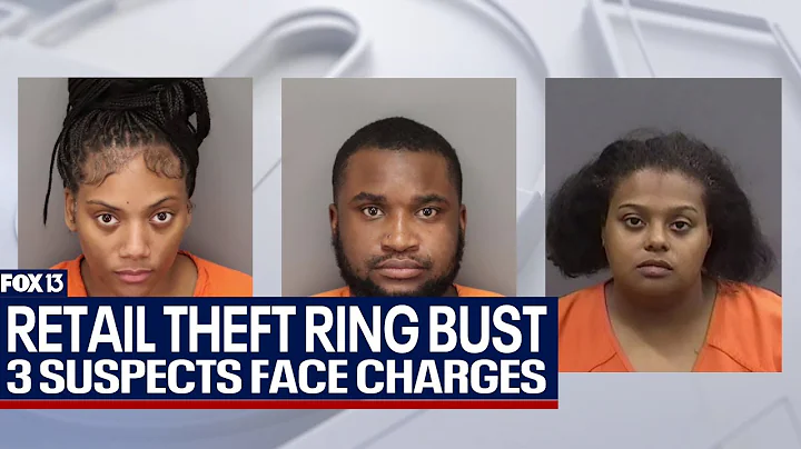 Hillsborough deputies bust retail theft ring