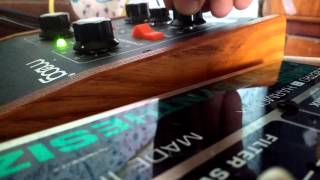 Moog Mf - 101 Low Pass Filter Vs. Ehx Bass Microsynth: Funk