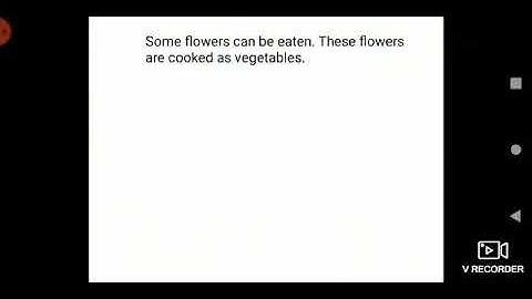 The Valley of Flowers