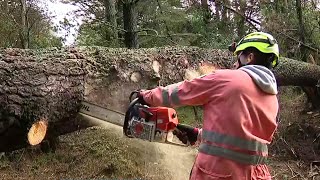 Storm damage cleanup operations underway across the region