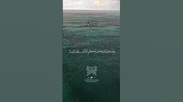 من الآية 38 إلى الآية 40 من #سورة_غافر