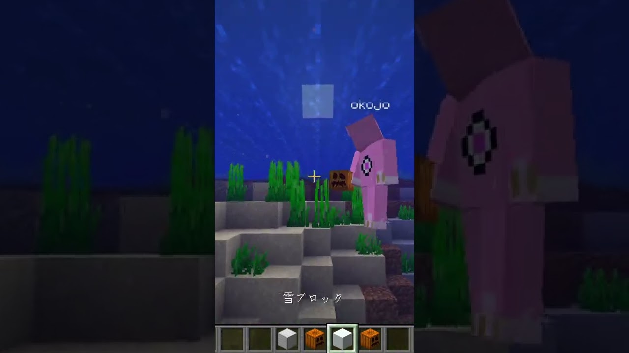 アイアンゴーレムとスノーゴーレムは全然違う マイクラ検証 Youtube