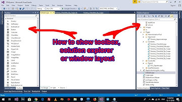 Visual Studio Solution Explorer Missing 100%