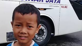 Mantap Buat Story WA [CINEMATIC BUS] Sinar Jaya di Terminal Wangon #part 01