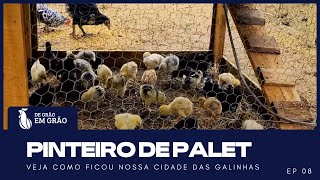 Galinheiro INOVADOR: Conforto e proteção para PINTINHOS em crescimento | EP 08