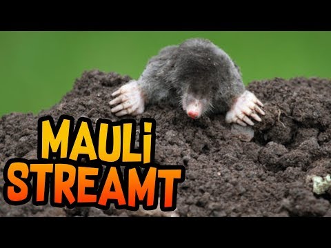 Stream gegen Langweile am Abend - Wilkommen zu meinem Livestream! :)