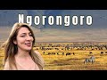 The Incredible Wildlife Inside Ngorongoro Crater