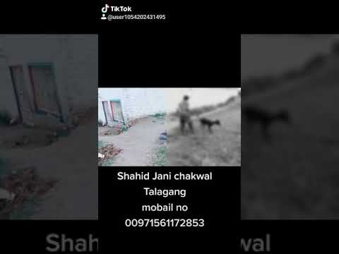 Chakwal..Talagang..Adlaka