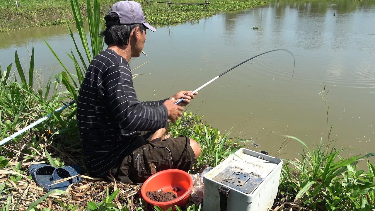 Despite rain and sun, determined to catch all the fish in the lagoon