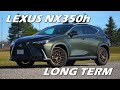 Lexus NX350h 2024 Long-Term Review ❄️