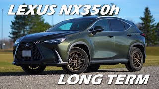 [4K] 2024 Lexus NX350h Owner's Long Term Review  Post Honeymoon Blues?