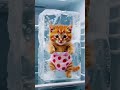 🐱💥 Mother Cat's Health Crisis: Kitten's Mistake Sparks a Family Feud! 😡"