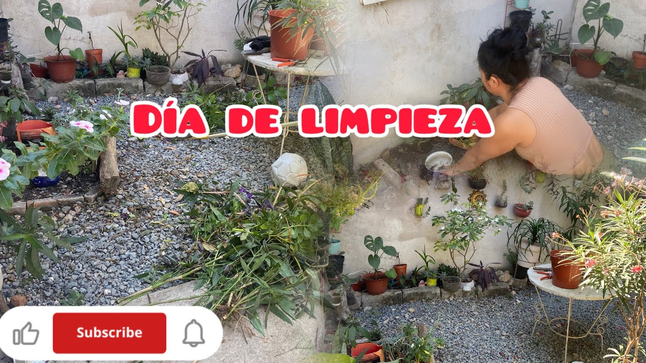 👉limpiando el JARDIN donde descansa mi Perrita 🦮limpieza necesaria!💚