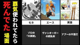 ワンピース1016 Youtube ワンピース1016 Youtube