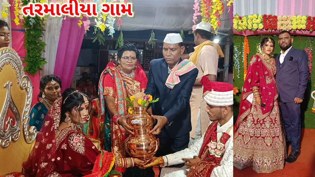 તરમાલીયા ગામ વિવાહ #jitudhodi #adivasi #valsad #ધોડિયા