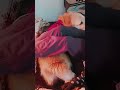 #doglife #funny #ace #goldenretreiver #trending#viral #doglove #viral #petlove #dog #pets #labrador