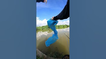 Hành trình truy tìm con cá kể phần 1 : #fishing #cauca #moicaukimlong