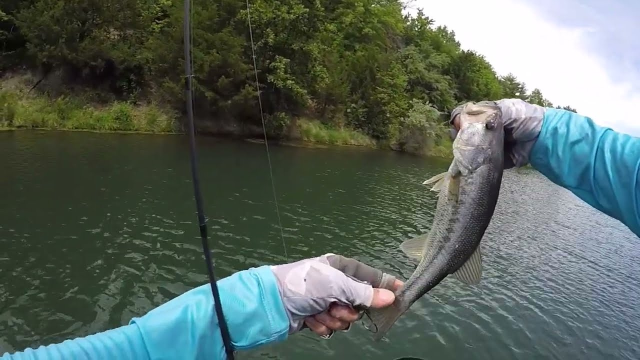 Silver Freak Largemouth Bass on Baby Brush Hog